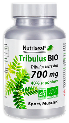 Tribulus terrestris BIO* 40% saponines : 700 mg - gélules végétales - Nutrixeal