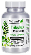 Tribulus terrestris Premium 60% furostanol saponines (protodioscine) : 400 mg - Nutrixeal