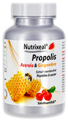 Propolis Acerola et Gingembre - Nutrixeal - 60 pastilles