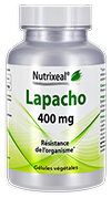 Lapacho / Pau d'Arco 400 mg - Nutrixeal
