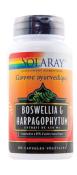 Boswellia + Harpagophytum - Solaray - 60 gélules végétales