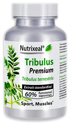 Tribulus terrestris Premium 60% furostanol saponines (protodioscine) : 400 mg - Nutrixeal
